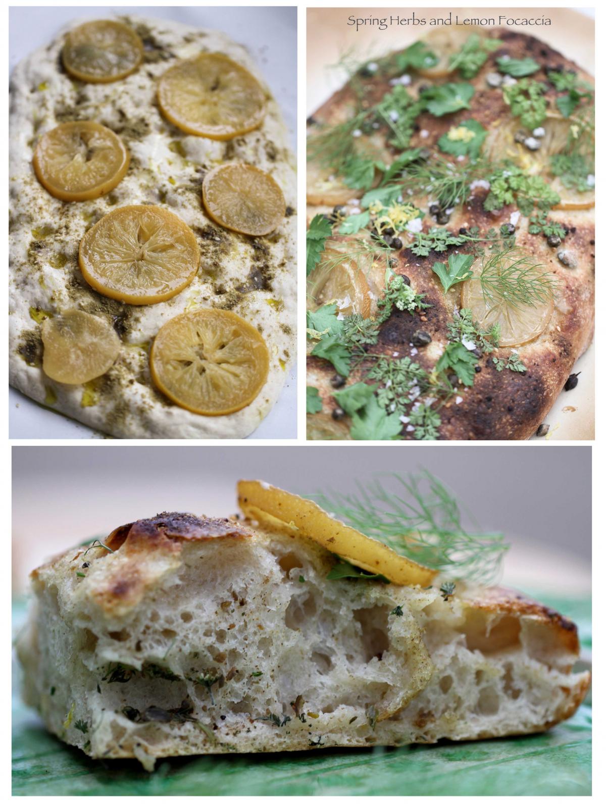 Spring Herbs and Preserved Lemon Focaccia The Fresh Loaf